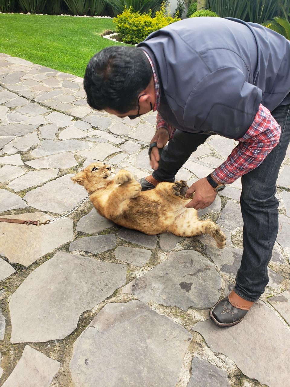 Cuidado especializado